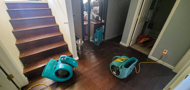 Best Water damage cleanup near me  in Pomona, CA