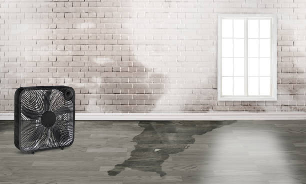 Best Water damage restoration near me  in Pomona, CA