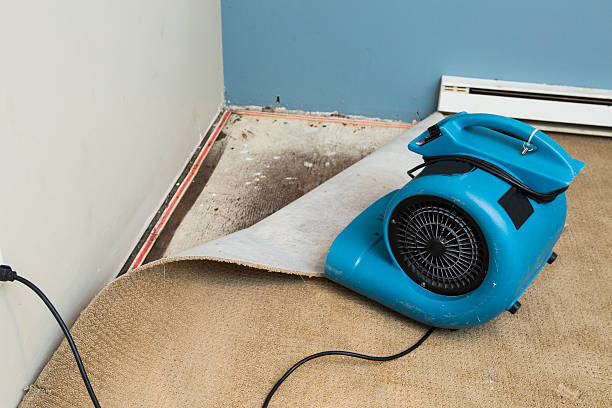 Best Water damage restoration cost  in Pomona, CA